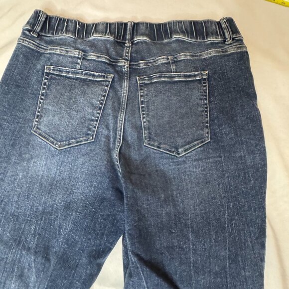 Lane Bryant High rise Pull on Straight fit Jean Size 20S Medium wash distressed - Picture 2 of 9
